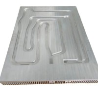 High End Friction Stir Welding Plus CNC Machining Liquid Cold Plate/ Water Cooled Plate